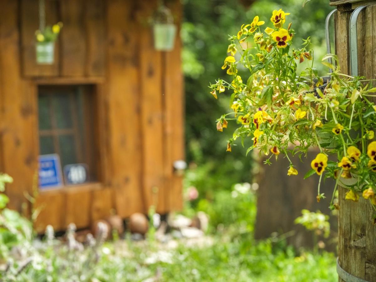 Yeti Cabin Plitvica selo Exterior foto